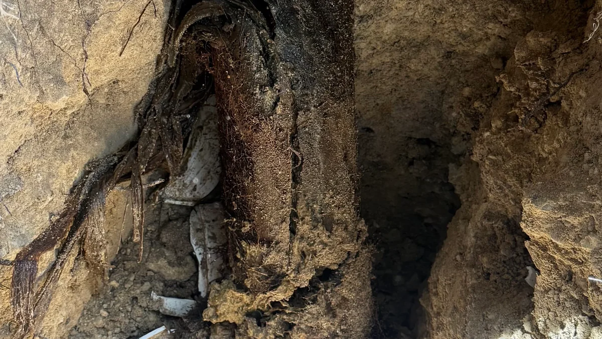 How Hard Water Impacts Your Austin Home Plumbing and What...